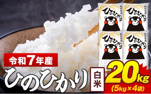 令和7年産 白米 米 ひのひかり 20kg《7-14日以内に出荷予定(土日祝除く)》熊本県 菊池市 国産 熊本県産 白米 精米 送料無料 ヒノヒカリ こめ お米 ---300-4376---