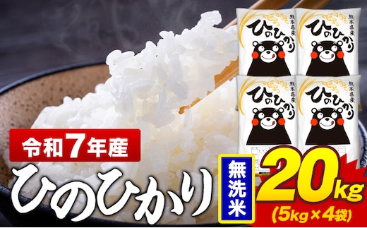 令和7年産 無洗米 米 ひのひかり 20kg《7-14日以内に出荷予定(土日祝除く)》熊本県 菊池市 国産 熊本県産 精米 無洗米 送料無料 ヒノヒカリ こめ お米 ---300-4380---