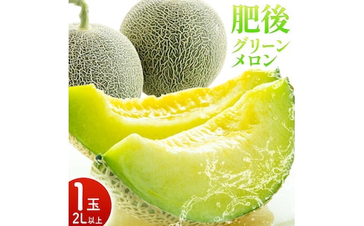 肥後グリーンメロン 1玉 2L以上【メロンドーム】 メロン 果物 フルーツ 九州産 熊本県産 送料無料【2026年5月中旬頃より出荷】【先行予約】--- 003-1568---