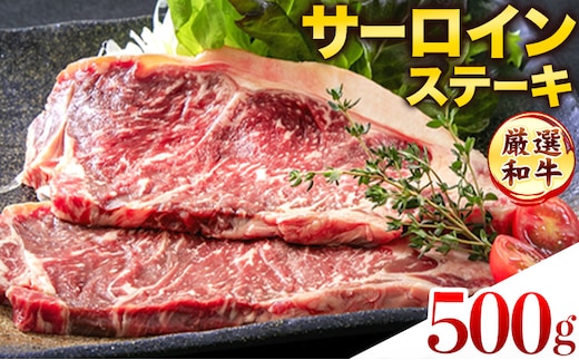 ステーキ 赤身 牛肉 サーロインステーキ 送料無料 あか牛 小分け 熊本県産 500g ( 250g x 2枚 ) 小分け 個包装 ステーキ肉 あかうし 赤牛 あか牛丼 にも ジューシー 焼肉 《30日以内に出荷予定(土日祝除く)》---300-5305---