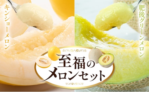 メロン 七城メロン Green＆Gold セット 肥後グリーン 1玉 キンショーメロン 2玉 ～ 3玉 2種類 MOTOYAMA358FARM 《2026年5月中旬-6下旬頃出荷》 熊本県 菊池市 メロン 果物 フルーツ 九州産 国産 送料無料---180-5001---