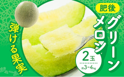 【先行予約】 メロン 肥後グリーンメロン 2玉 約 3kg ～ 4kg 株式会社Foody's 食彩たかみ 《2026年5月下旬-7月下旬頃出荷》 熊本県 菊池市 フルーツ 果物 メロン 九州産 冷蔵 送料無料---177-2670---