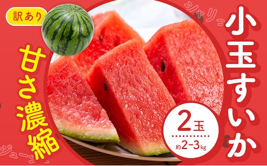 【先行予約】スイカ 訳あり 小玉すいか 2玉 約 2kg ～ 3kg M ～ 3L 混合 株式会社Foody's 食彩たかみ 《2026年5月下旬-7月下旬頃出荷》 熊本県 菊池市 フルーツ 果物 スイカ すいか 訳あり 小玉 九州産 冷蔵 送料無料---177-2675---