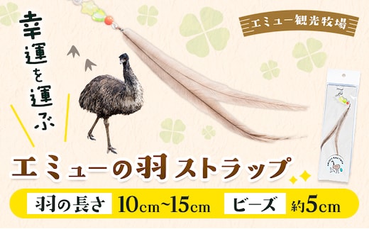 エミューストラップ 全長約20cm ストラップ付き 熊本県菊池エミュー観光牧場株式会社 《30日以内に出荷予定(土日祝除く)》 熊本県 菊池市 エミュー ストラップ 縁結び 幸運の羽 羽根 菊池市 熊本県 送料無料---096-5008---
