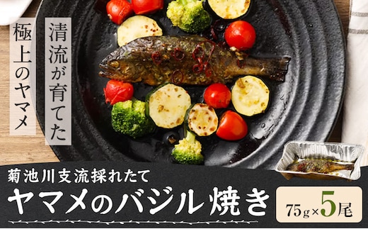 菊池川支流採れたて ヤマメのバジル焼き 75g×5尾 有限会社味万《30日以内に出荷予定(土日祝除く)》熊本県 菊池市 ヤマメ 山女魚 魚 バジル焼き キャンプ BBQ バーベキュー 温めるだけ 個包装 九州産 国産 冷凍 送料無料---007-1975---