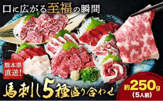 馬刺し 5種 盛り合わせ セット 計250g 5人前 熊本直送 赤身 霜降り フタエゴ バラヒモ コーネ 株式会社Foody's《30日以内に出荷予定(土日祝除く)》熊本県 菊池市 馬刺し 馬肉 肉 お肉---159-4302---