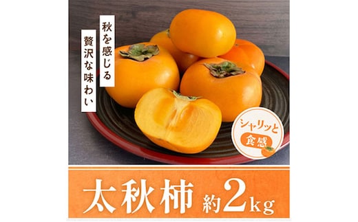 太秋柿 柿 約2kg 株式会社エフビーネット《10月上旬-11月上旬頃出荷》熊本県 菊池市 柿 かき たいしゅうがき 果物 フルーツ 秋の味覚 旬 デザート---034-5015---