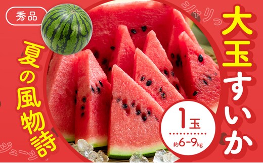 【先行予約】スイカ 大玉すいか 秀品 1玉 約 6kg ～ 9kg 株式会社Foody's 食彩たかみ 《2026年5月下旬-7月下旬頃出荷》 熊本県 菊池市 フルーツ 果物 スイカ すいか 大玉 九州産 冷蔵 送料無料---177-2672---
