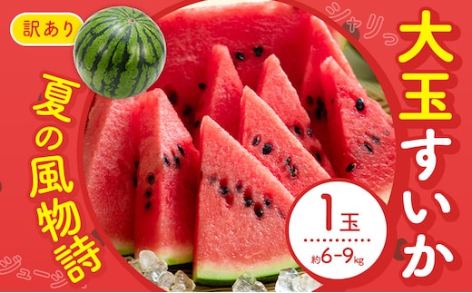 【先行予約】スイカ 訳あり 大玉すいか 1玉 約 6kg ～ 9kg L ～ 3L 混合 株式会社Foody's 食彩たかみ 《2026年5月下旬-7月下旬頃出荷》 熊本県 菊池市 フルーツ 果物 スイカ すいか 訳あり 大玉 九州産 冷蔵 送料無料---177-2673---