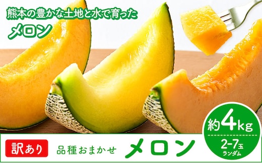 【先行予約】メロン 訳ありメロン 品種おまかせ 約4kg 2-7玉 ランダム 株式会社Foody's 食彩たかみ《2026年5月下旬-7月下旬頃出荷》 おまかせ ご家庭用 メロン フルーツ 菊池市産 熊本県産 九州産 冷蔵 送料無料---177-2671---