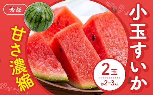 【先行予約】スイカ 小玉すいか 秀品 2玉 約 2kg ～ 3kg L ～ 3L 混合 株式会社Foody's 食彩たかみ 《2026年5月下旬-7月下旬頃出荷》 熊本県 菊池市 フルーツ 果物 スイカ すいか 小玉 九州産 冷蔵 送料無料---177-2674---