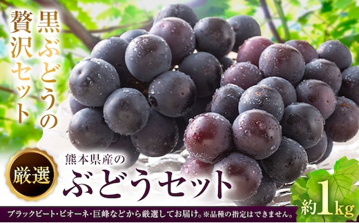 【先行予約】厳選 熊本県産のぶどうセット 約1kg 品種おまかせ ブラックビート ピオーネ 巨峰 【メロンドーム】 有限会社七城町特産品センター《2026年8月上旬から8月末ごろ出荷》熊本県 菊池市 果物 フルーツ ぶどう ブドウ 葡萄 セット 食べ比べ 熊本県産 送料無料---003-1567---