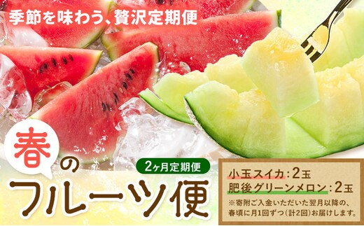 【2ヶ月定期便】春のフルーツ便 各2玉 小玉スイカ 肥後グリーンメロン 【養生市場】 有限会社七城町特産品センター《4月上旬-6月中旬頃出荷》熊本県 菊池市 スイカ すいか メロン グリーンメロン 果物 フルーツ 定期便 熊本県産 送料無料---003-1581---