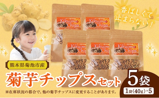菊芋チップス セット 5袋 40g×5袋 合計 200g チップス 有限会社きくち観光物産館 《90日以内に出荷予定(土日祝除く)》熊本県 菊池市 お菓子 おつまみ おやつ きくいも 菊芋 健康 セット 送料無料---004-0407---