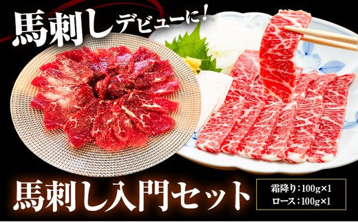 馬刺し入門セット 合計200g 2種類 セット 霜降り100g ロース100g 有限会社七城町特産品センター《90日以内に出荷予定(土日祝除く)》熊本県 菊池市 馬肉 馬刺し 食べ比べ 詰め合わせ ブロック 冷凍 送料無料---003-1482---