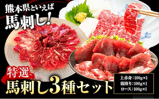 特選馬刺しセットB 合計300g 3種類 セット 霜降り100g 上赤身100g ロース100g《90日以内に出荷予定(土日祝除く)》熊本県 菊池市 馬肉 馬刺し 食べ比べ セット 詰め合わせ ブロック 冷凍 送料無料---003-1484---