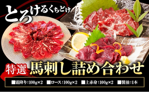 特選馬刺し詰め合わせ Eセット 合計600g 3種類 セット 霜降り100g×2 上赤身100g×2 ロース100g×2 醤油1本付き 有限会社七城町特産品センター《90日以内に出荷予定(土日祝除く)》熊本県 菊池市 馬肉 馬刺し 食べ比べ ブロック 冷凍 送料無料---003-2415---