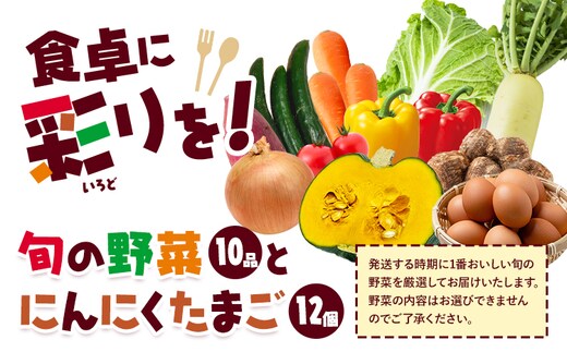 旬の野菜とたまごのセットメロンドーム 野菜 卵 にんにくたまご 卵 詰め合わせ 有限会社七城町特産品センター《30日以内に出荷予定(土日祝除く)》熊本県 菊池市 セット 新鮮 国産 九州産 熊本県 菊池市 道の駅 旬 送料無料---003-1963---