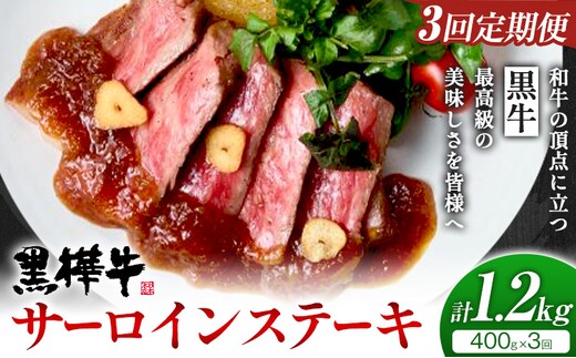 【3ヶ月定期便】くまもと黒毛和牛 黒樺牛 A4-A5等級サーロインステーキ定期便 400g×3回 合計1.2kg 《お申し込み月の翌月から出荷開始》熊本県 菊池市 和牛 お肉 牛肉 黒毛和牛 霜降り ステーキ 定期便 国産 九州産 熊本県産 冷凍 送料無料---090-1528-R---