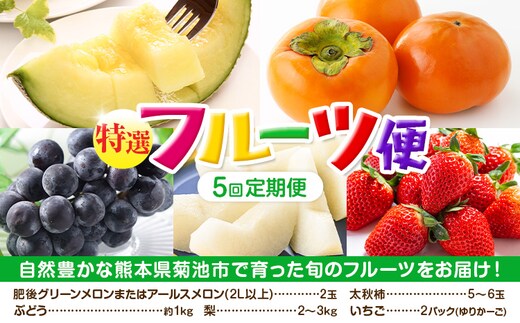 【定期便5回】 厳選 フルーツ 便 ( メロン ぶどう 梨 柿 いちご ) 葡萄 ブドウ ナシ なし かき 太秋柿 イチゴ 苺 果物 くだもの セット 詰め合わせ 定期便《お申込み月の翌月から出荷開始》---003-2425---