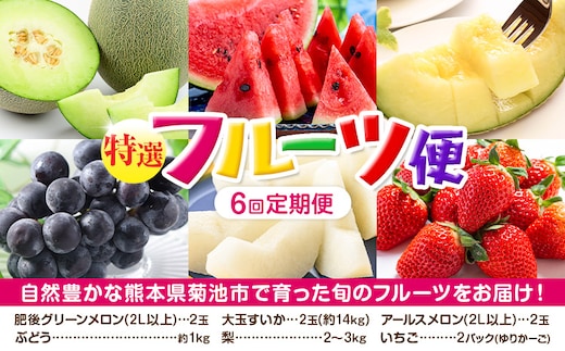 【定期便6回】特選 フルーツ 便 ( メロン すいか ぶどう 梨 いちご ) スイカ 葡萄 ブドウ ナシ なし 苺 イチゴ 果物 くだもの セット 詰合せ 定期便【メロンドーム】《お申込み翌月から出荷》---003-2426---