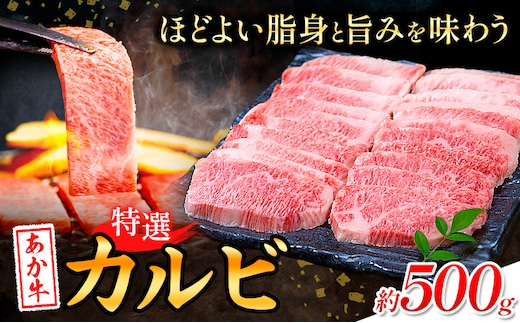 熊本あか牛 特選カルビ 500g 合同会社たべたせいか《30日以内に出荷予定(土日祝除く)》熊本県 菊池市 肉 牛肉 お肉 和牛 あか牛 焼き肉 焼肉 やきにく BBQ バーベキュー 特選 カルビ 熊本県産 冷凍 送料無料---069-2064---