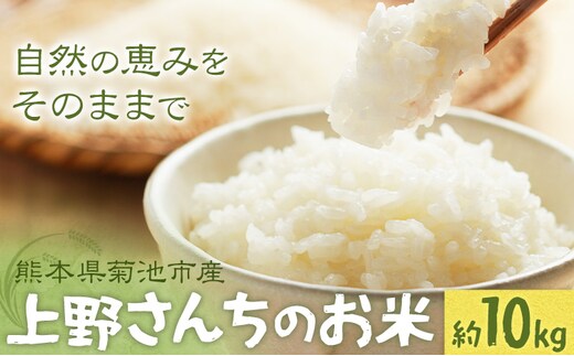 上野さんちのお米 ヒノヒカリ 10kg THANTEAMS《11月上旬-1月下旬頃出荷》熊本県 菊池市 米 白米 精米 こめ---kikuchi_snt_2_10000g---