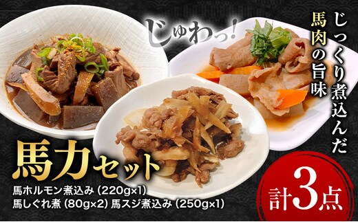 馬力セット 3種類 セット 計630g ホルモン煮込み しぐれ煮 スジ煮込み 株式会社有働精肉店《30日以内に出荷予定(土日祝除く)》熊本県 菊池市 おつまみ 惣菜 馬肉 ホルモン すじ肉 熊本県産 九州産 国産 冷凍 送料無料---181-2484---