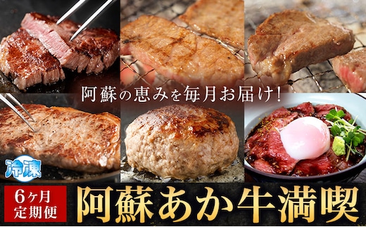 【6ヶ月定期便】阿蘇あか牛満喫セット 株式会社LARKS《お申し込み月の翌月から出荷開始》肉 牛肉 あか牛 ローストビーフ ハンバーグ 冷凍 名物 熊本県 毎月届く 送料無料---133-2114---