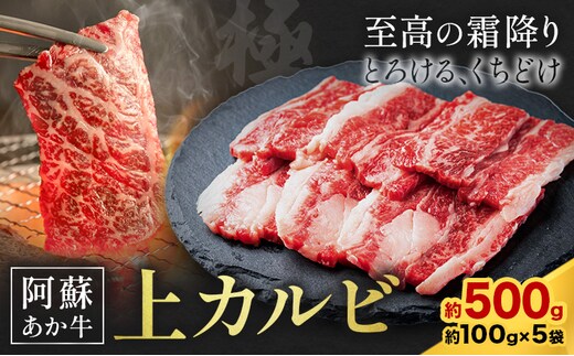 阿蘇あか牛 上カルビ 合計約500g 約100g×5袋 株式会社LARKS《30日以内に出荷予定(土日祝除く)》お肉 和牛 あか牛 焼肉 熊本県産 九州産 国産 冷凍 送料無料---133-1867---