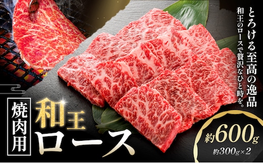 和王 ロース 焼肉用 約600g 約300g×2パック 菊池地域農業協同組合(JA菊池まんまキッチン)《90日以内に出荷予定(土日祝除く)》熊本県 菊池市 くまもと黒毛和牛 和牛 牛肉 お肉 焼き肉 熊本県産 九州産 国産 冷凍 送料無料---147-2122---