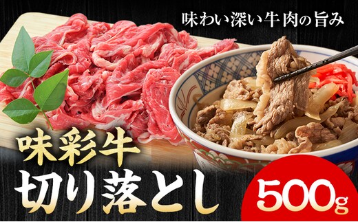 味彩牛 切り落とし 500g のぐち産業株式会社《90日以内に出荷予定(土日祝除く)》熊本県 菊池市 牛肉 スライス お肉 精肉 熊本県産 九州産 国産 冷凍 送料無料---183-2289---