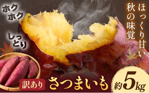 【先行予約】訳あり さつまいも 約5kg 日本フルーツ株式会社《2026年10月上旬-11月中旬頃出荷》熊本県 菊池市 さつまいも サツマイモ 訳あり 熊本県産---308-5005---
