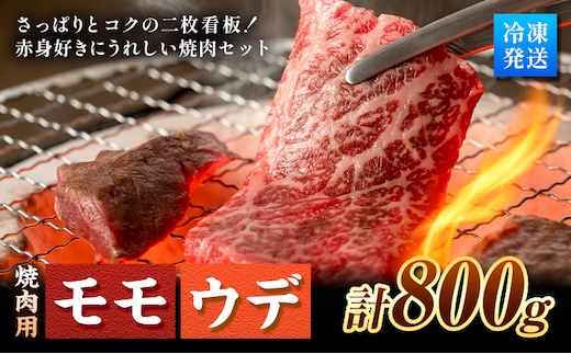 焼肉用 モモ・ウデ 合計800g 黒毛和牛 カット済み 有限会社中田精肉店舗 《45日以内に出荷予定(土日祝除く)》 熊本県 菊池市 お肉 和牛 焼き肉 キャンプ バーベキュー 熊本県産 九州産 国産---105-2094---