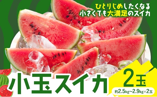 小玉スイカ 2玉【養生市場】 ひとりじめ 果物 フルーツ スイカ 西瓜 九州産 熊本県産 送料無料《2027年4月下旬-5月中旬頃出荷予定》【先行予約】---003-5034---