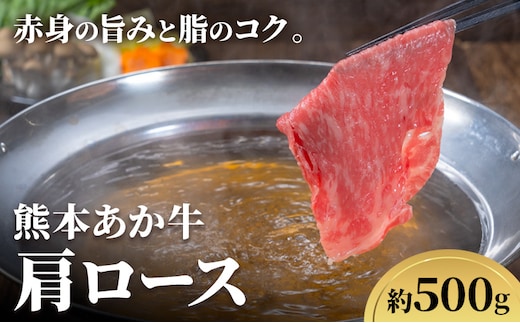 熊本あか牛 肩ロース 約500g 合同会社たべたせいか《30日以内に出荷予定(土日祝除く)》熊本県 菊池市 肉 牛肉 お肉 和牛 あか牛 ロース スライス すき焼き しゃぶしゃぶ 熊本県産 冷凍 送料無料---069-2063---