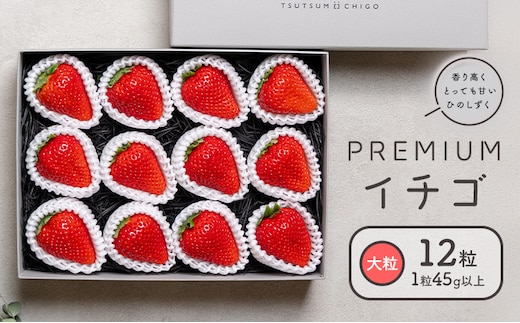 PREMIUMイチゴ 12玉 1玉45g以上 ひのしずく いちご イチゴ 苺《2026年2月発送予定》ヴァリアス株式会社 果物 くだもの フルーツ 希少 ギフト プレゼント 贈り物 国産 九州産 熊本県 菊池市 送料無料---028-0007---