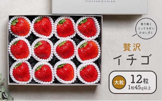 贅沢イチゴ ひのしずく 約45g×12玉 いちご イチゴ 苺《2026年1月発送予定》ヴァリアス株式会社 果物 くだもの フルーツ 希少 ギフト プレゼント 贈り物 国産 九州産 熊本県 菊池市 送料無料---028-0002---