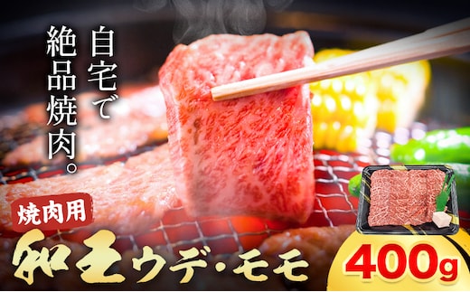 熊本県産A5等級和王 ウデ・モモ 焼肉用 約400g (約400g×1パック) 帝神志方ミート株式会社《90日以内に出荷予定(土日祝除く)》熊本県 菊池市 牛肉 肉 お肉 和牛 くまもと黒毛和牛 熊本県産 A5 和王 ウデ肉 モモ肉 焼肉---0149-3012---