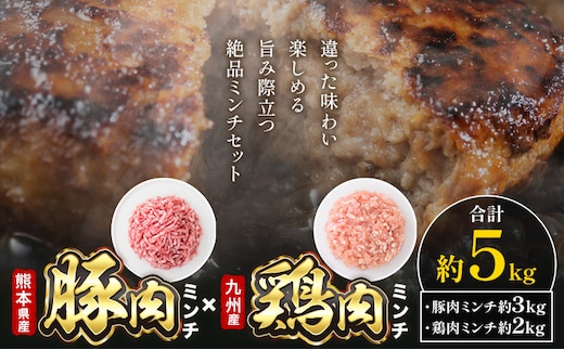 熊本県産 豚肉ミンチ 約3kg 九州産 鶏ミンチ 約2kg 計約5kg 植田商事有限会社 《90日以内に出荷予定(土日祝除く)》 熊本県 菊池市 ミンチ 豚肉 鶏肉 ハーブ鶏 お肉 熊本県産 九州産 国産 冷凍 送料無料---083-2071---