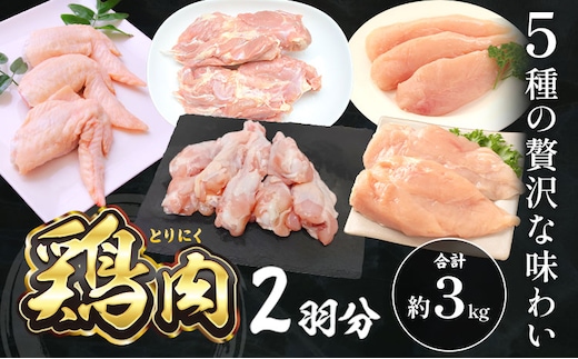 鶏肉 2羽分 約1.5kg×2羽分 合計 約3kg 植田商事有限会社 《90日以内に出荷予定(土日祝除く)》 熊本県 菊池市 鶏肉 精肉 お肉 もも肉 むね肉 ささみ 手羽先 手羽元 ハーブ鶏 熊本県産 九州産 国産 冷凍 送料無料---083-2073---