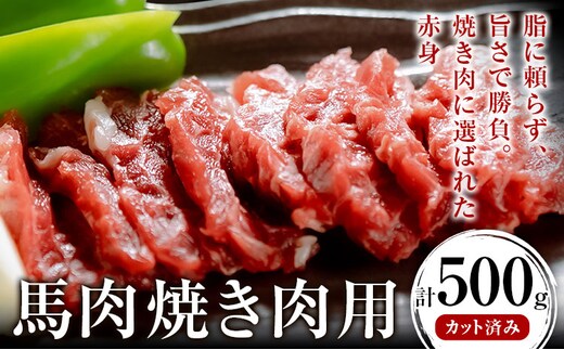 馬肉焼肉用 500g カット済 桜屋 《30日以内に出荷予定(土日祝除く)》 熊本県 菊池市 送料無料 肉 馬肉---114-5008---