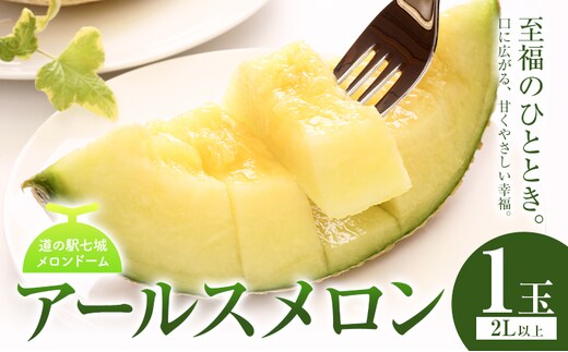 アールスメロン 1玉 2L以上【メロンドーム】 メロン 果物 フルーツ マスクメロン 九州産 熊本県産 送料無料《7月中旬-11月上旬頃出荷》---003-1133---