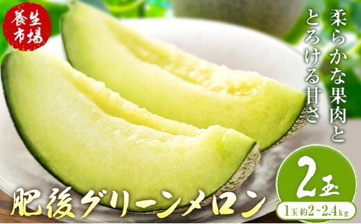 肥後グリーンメロン 約2-2.4kg×2玉【養生市場】 有限会社七城町特産品センター《5月中旬-6月中旬頃出荷》熊本県 菊池市 メロン グリーンメロン 果物 フルーツ 熊本県産 送料無料---003-1578---