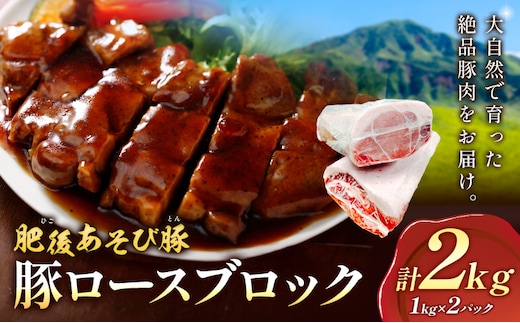 肥後あそび豚 ロースブロック 1kg×2パック 合計 2kg 《30日以内に出荷予定(土日祝除く)》熊本県 菊池市 ぶた ブタ 豚肉 肉 ブランド豚 ロース ブロック 国産 九州産 熊本県産 菊池市産 冷凍 送料無料---015-1983---