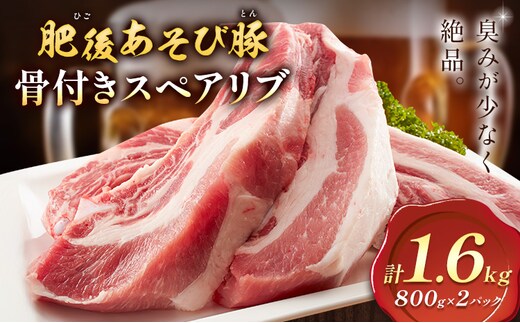 肥後あそび豚 骨付き スペアリブ 800g×2パック 合計1.6kg 株式会社さつま屋産業 ぶた ブタ 豚肉 肉 ブランド豚 骨付き肉 スペアリブ 国産 九州産 熊本県産 菊池市産 冷凍 送料無料《90日以内に出荷予定(土日祝除く)》---015-1979---