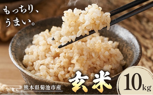 熊本県菊池産 玄米 10kg お米 ヴァリアス株式会社《30日以内に出荷予定(土日祝除く)》 菊池市産 熊本県産 九州産 送料無料---028-2481---