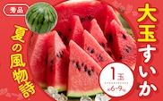 【先行予約】スイカ 大玉すいか 秀品 1玉 約 6kg ～ 9kg 株式会社Foody's 食彩たかみ 《2026年5月下旬-7月下旬頃出荷》 熊本県 菊池市 フルーツ 果物 スイカ すいか 大玉 九州産 冷蔵 送料無料---177-2672---