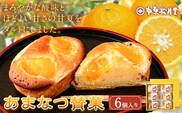 菊池銘菓 あまなつ賛菓 6個入 1箱 有限会社中原松月堂《30日以内に出荷予定(土日祝除く)》 熊本県 菊池市 スイーツ デザート タルトケーキ 甘夏 柑橘 個包装 お菓子 焼き菓子---074-1265---