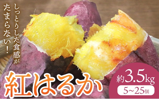 さつまいも 紅はるか 約3.5kg(5-25個) 株式会社GGYパッケージ《2025年11月下旬-2026年4月上旬頃出荷》熊本県 菊池市 さつまいも 紅はるか 芋 いも 野菜 国産 焼き芋 スイートポテト 芋ようかん 大学芋 干し芋 しっとり 旬 送料無料---124-2358---